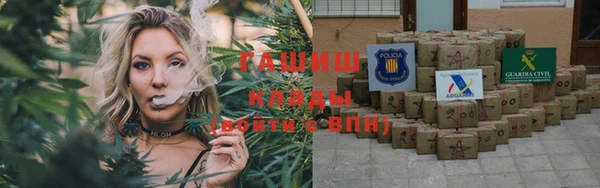 индика Гусь-Хрустальный
