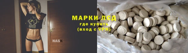 индика Гусь-Хрустальный