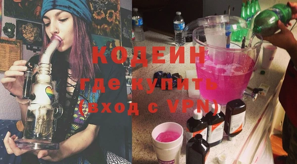 индика Гусь-Хрустальный