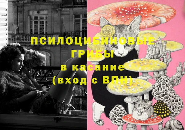 прущая мука Горняк