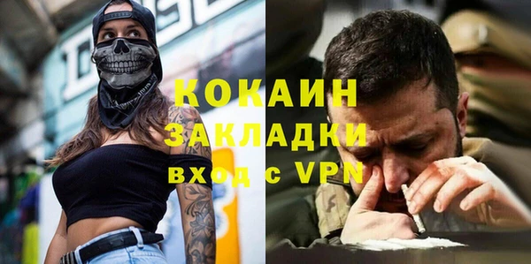 индика Гусь-Хрустальный