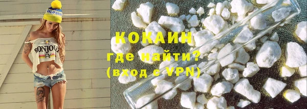 индика Гусь-Хрустальный