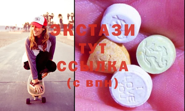 индика Гусь-Хрустальный