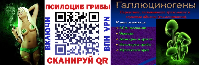 Купить где  Челябинск  Псилоцибиновые грибы Magic Shrooms 